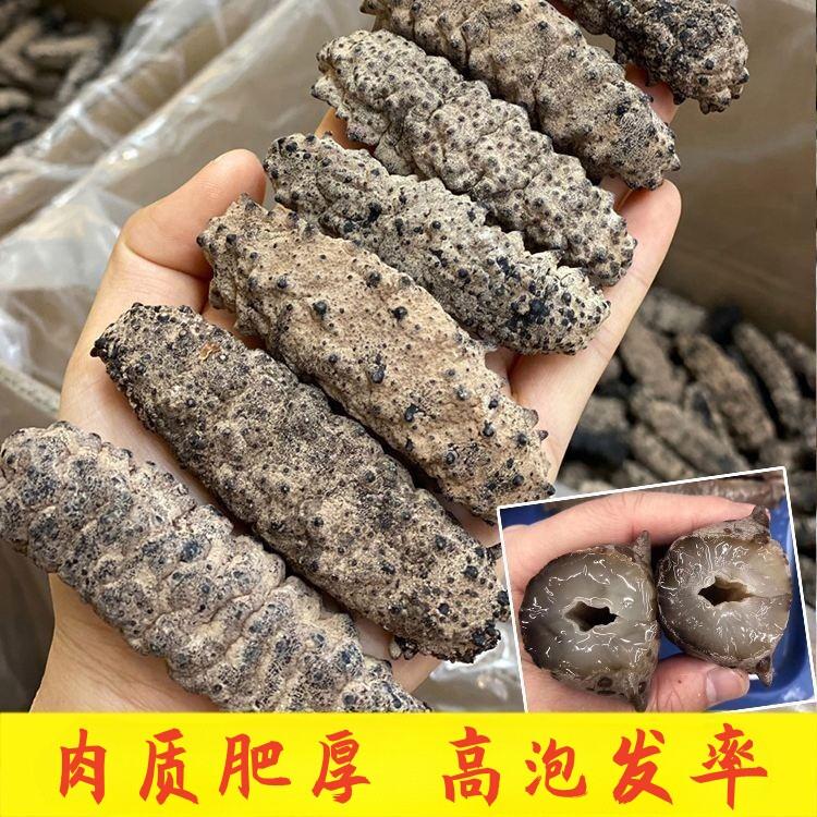美进口海参 ZYW南美刺参古巴干品/即食海参