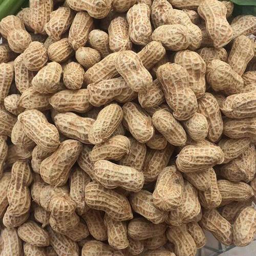 湖南农家自种闲货山干新粉衣花生带壳生花生地GDO花生休零食3斤包