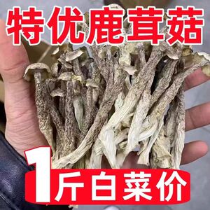 鹿茸菇干货500g特级鹿茸菌云南食用菌香菇脆脆菇煲汤食材产地直销