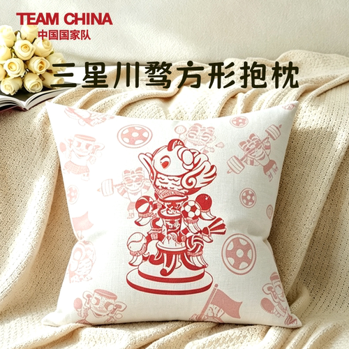 三星川骛方形抱枕TEAMCHINA