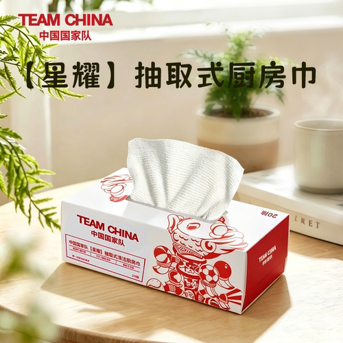 抽取式清洁厨房巾TEAMCHINA