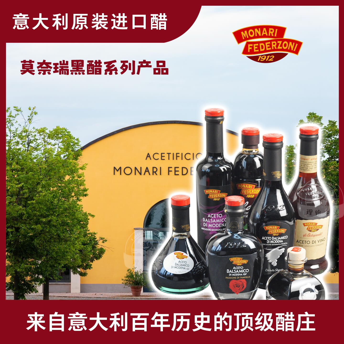 意大利进口GPI巴萨米克Balsamic