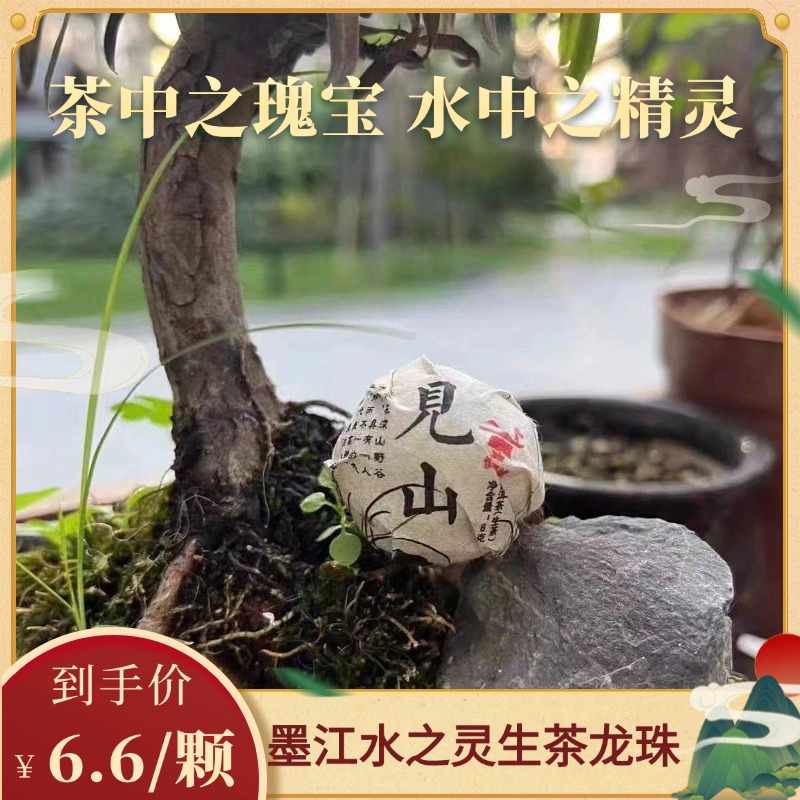 慎独号见山 墨江稀缺资源水之灵头春古树 生茶龙珠8g 1颗装2023年
