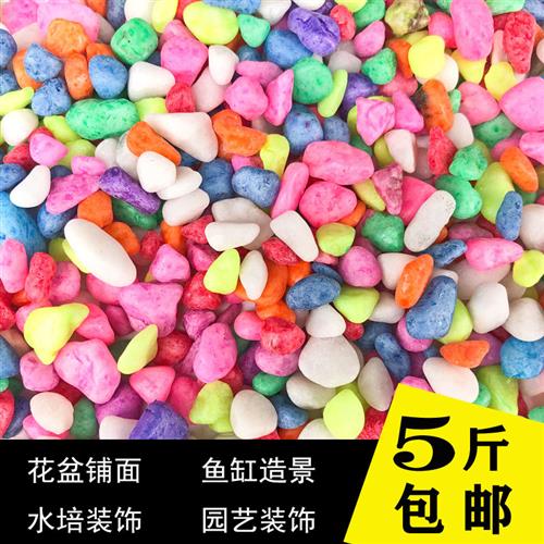 多肉植物铺面石五彩石鹅卵石盆栽装饰造景彩色石子陶粒