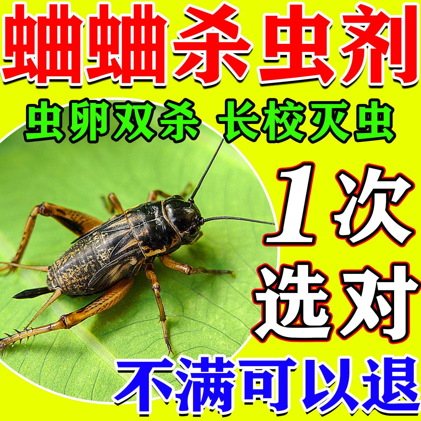 蟋蟀杀虫剂一窝端灭蛐蛐专用药家用室内外防治除蝈蝈器神捕捉驱赶