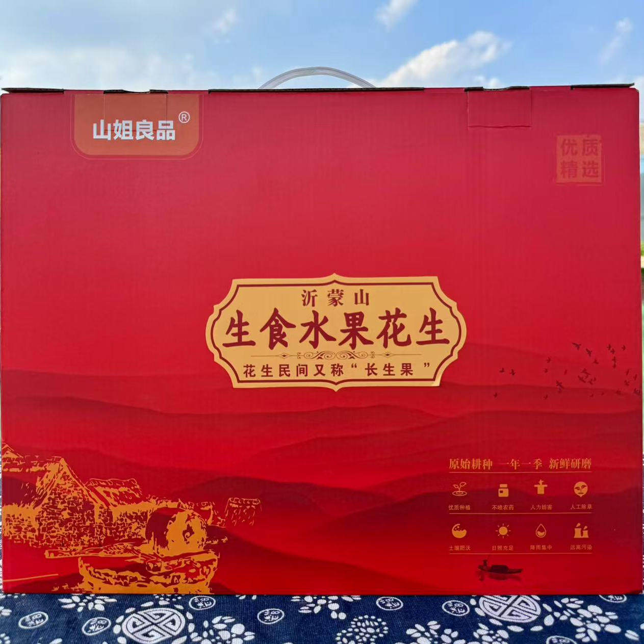 山姐良品临沂红粒花生米花生仁瘪粒无油6罐装礼盒生红水果花生