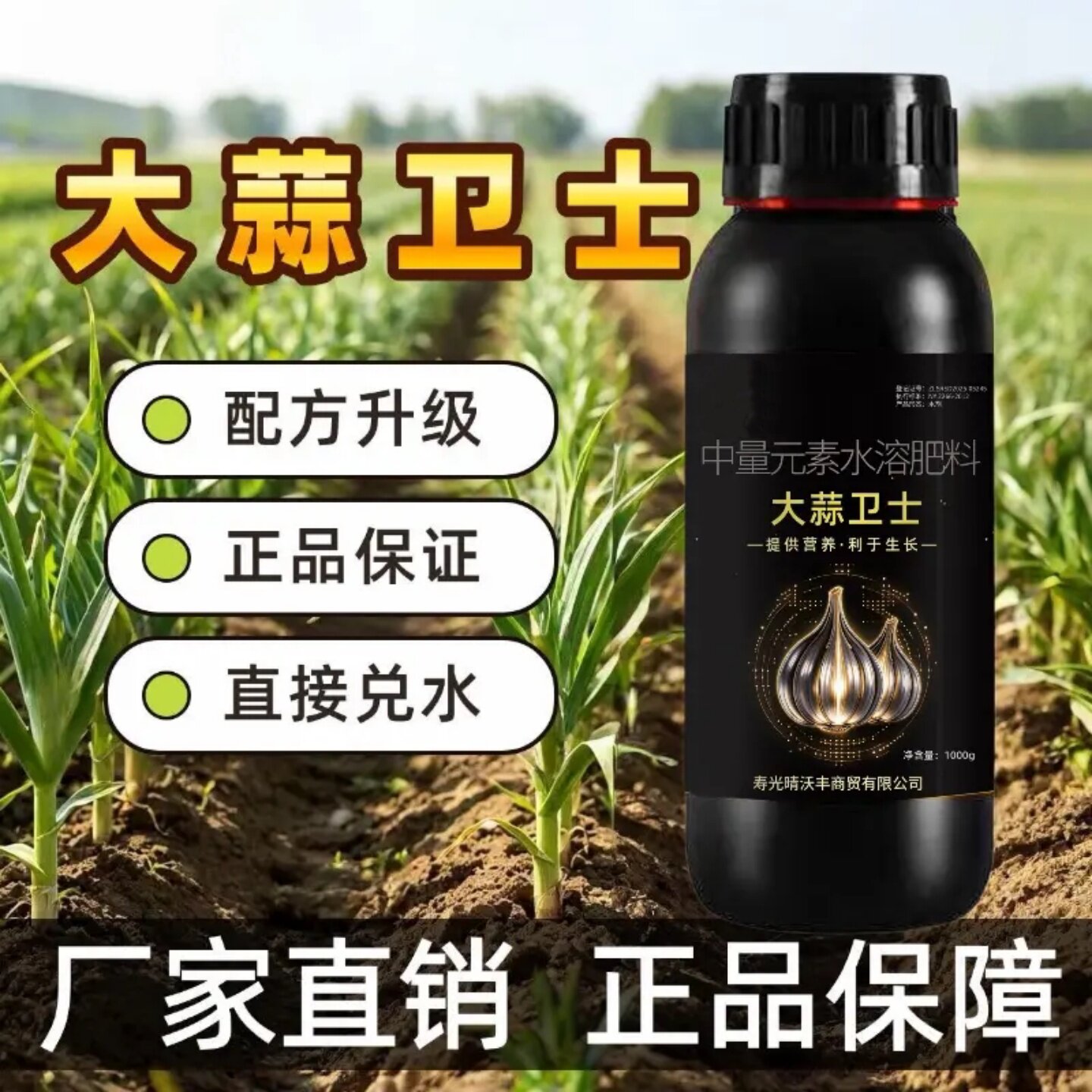 大蒜卫士促进叶片浓绿植株健壮改善品质大蒜种植专用营养液晴沃丰