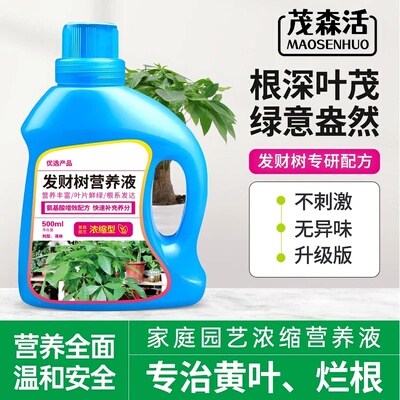 茂森活发财树营养液艾尚棵根深叶茂绿意盎然不刺激无异味升级版