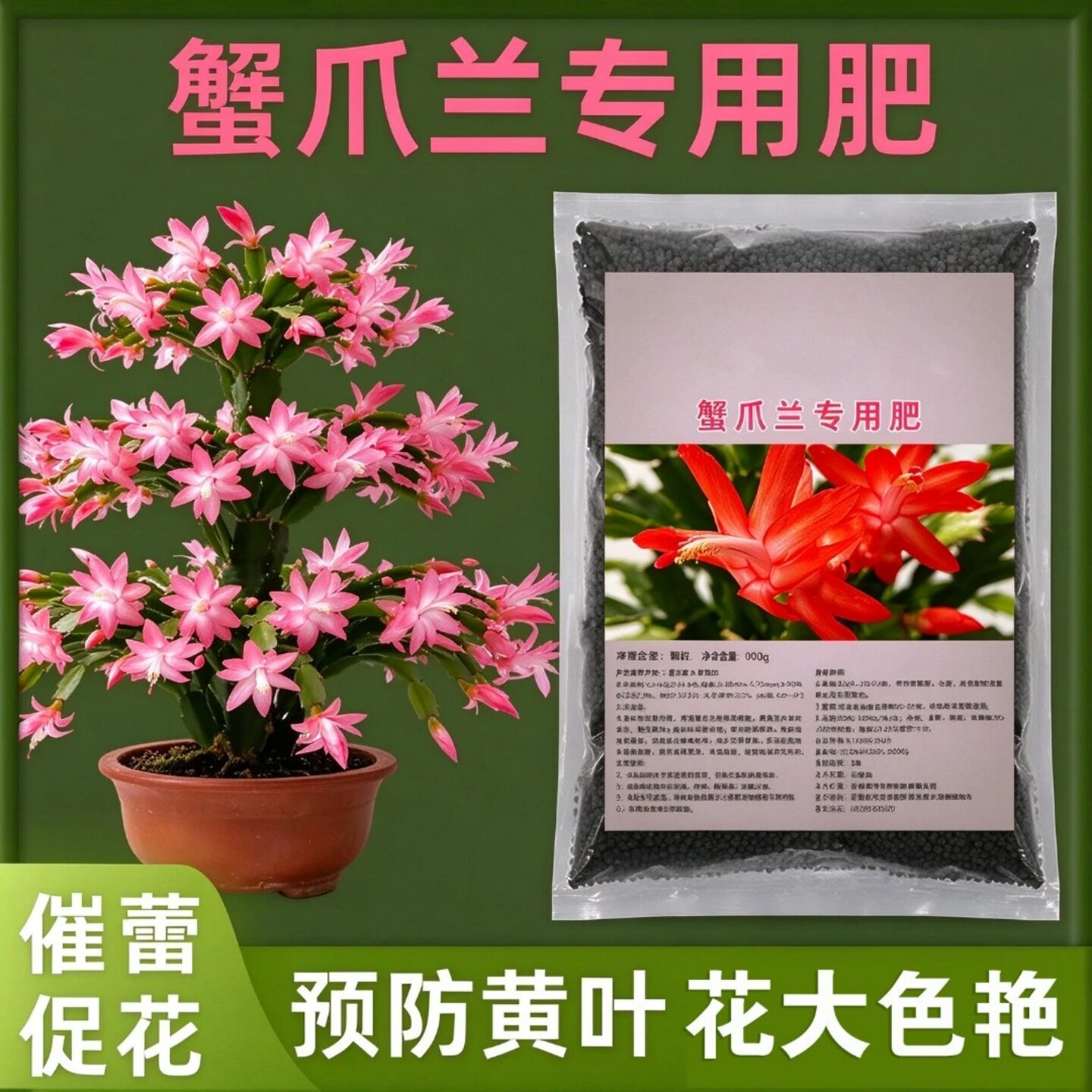 蟹爪兰专用肥中量元素水溶肥盆栽促花壮蕾防黄叶花大色艳颗粒肥料
