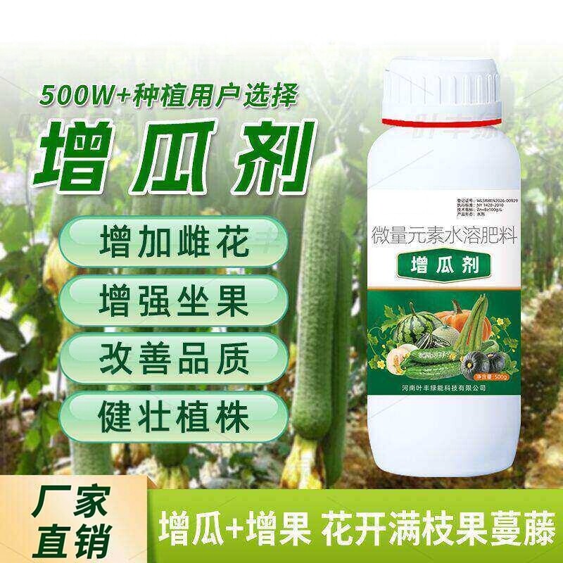 叶丰绿能增瓜剂南瓜丝瓜健壮植株保花保果改善品质甜氨基酸水溶肥