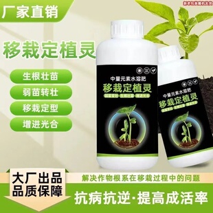 八个老头中量元素水溶肥移栽定植灵移植增加成活率生根壮苗高吸收