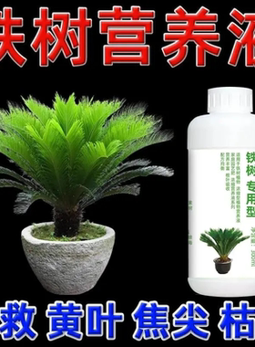 铁树专用型营养液铁树盆景肥料苏铁树盆栽专用肥料防黄叶干枯高效