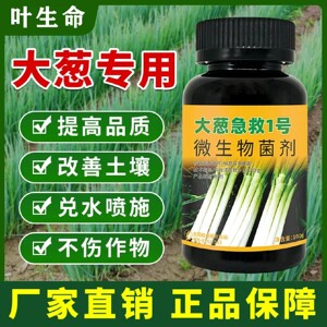 叶生命大葱急救1号微生物菌剂补充营养液提质增产茎秆粗壮叶面肥