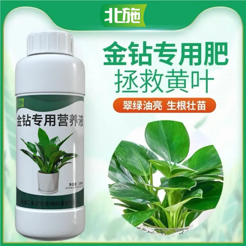 北施大叶金钻专用营养液改善黄叶卷边绿植通用型免稀释植物花肥料,鲜花速递/花卉仿真/绿植园艺,家庭园艺肥料,淘宝优惠券,粉丝福利购,淘宝优惠卷