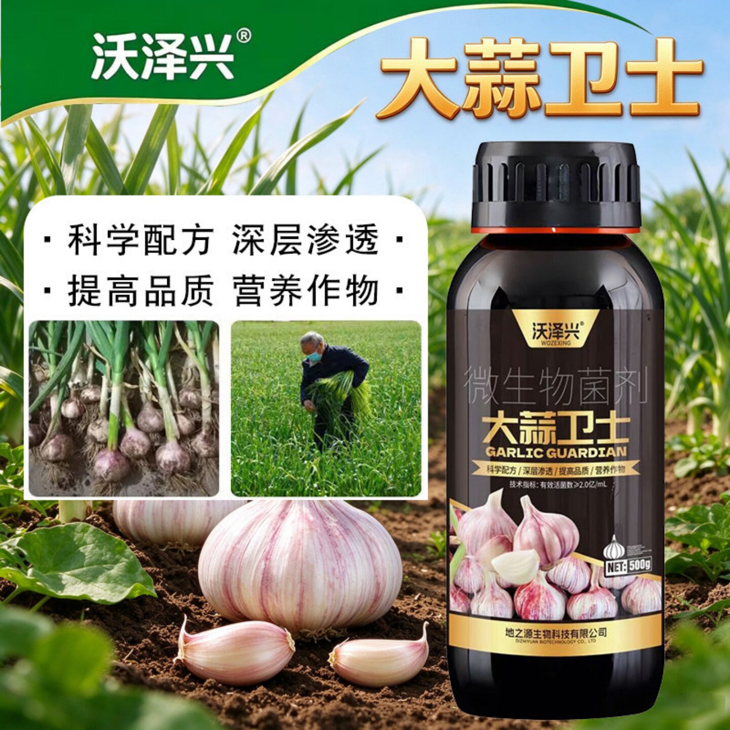 沃泽兴大蒜卫士微生物菌剂大蒜专用叶面肥促生长提质营养作物菌液