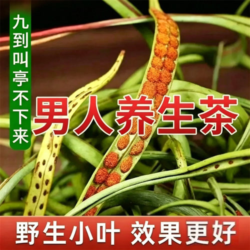 长白山野生肾精草正品官方旗舰店