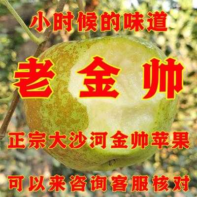 当季大沙河金帅青苹果现摘野生孕妇酸甜脆新鲜丑水果绿萍整箱10斤