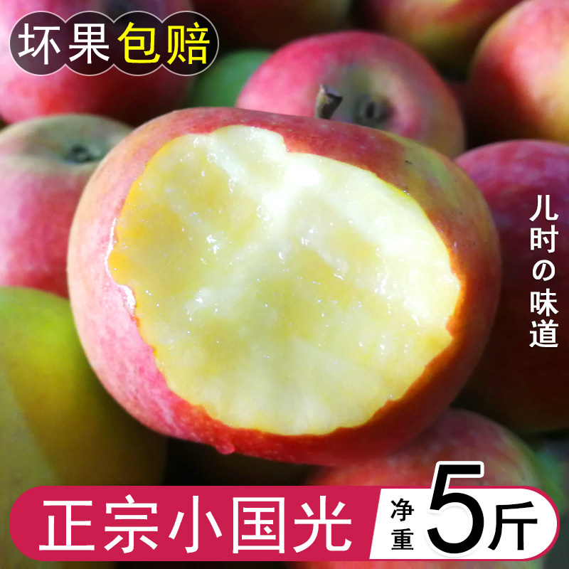 小国光苹果笨果国光苹果瓦房店图片
