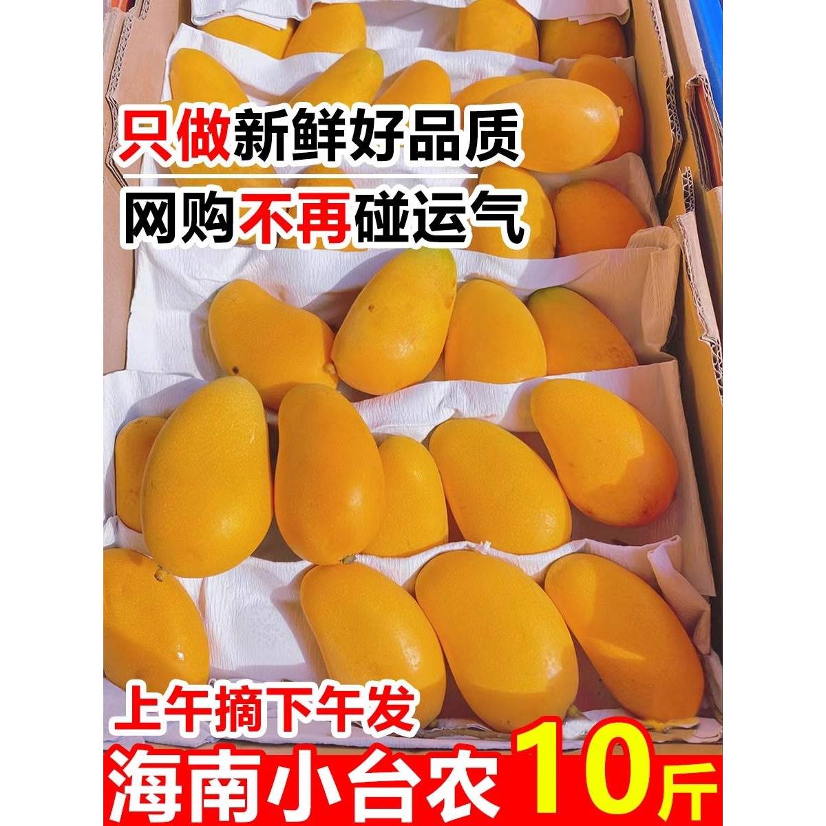 海南小台农芒果新鲜10斤应当季热带水果现摘小台芒整箱特产大包邮