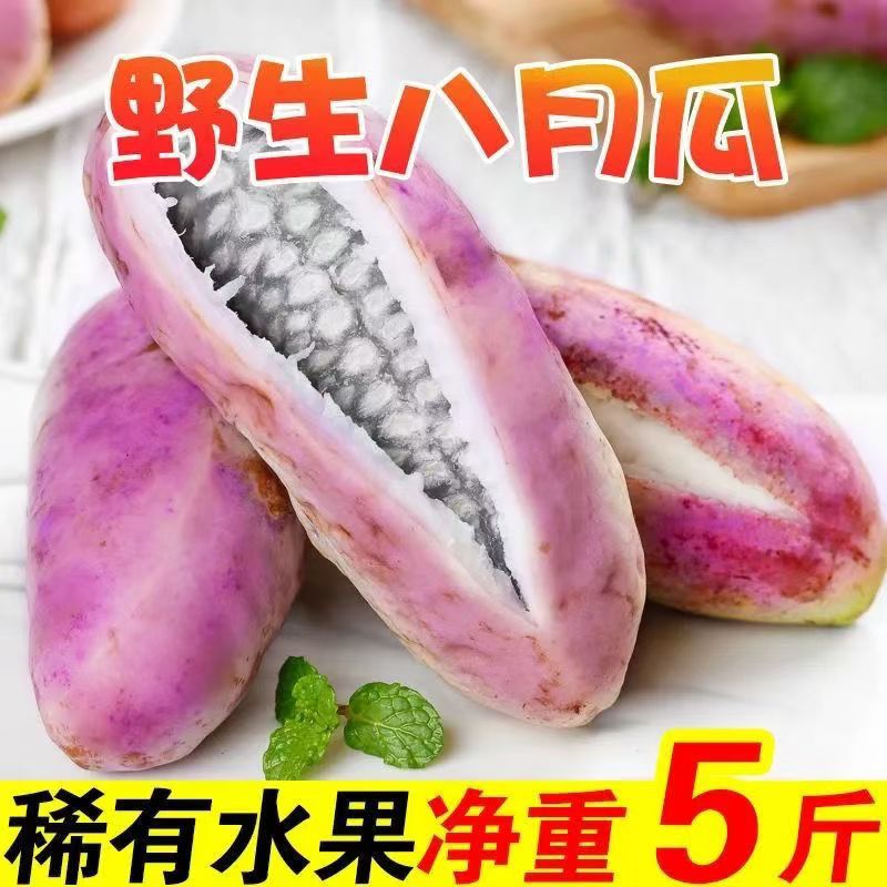 【现摘】野生八月瓜新鲜八月炸野果野生稀罕孕妇水果当季贵州包邮