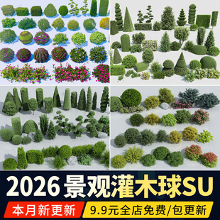 灌木球球形植物绿化带绿篱园林灌木丛造型庭院公园草图大师SU模型