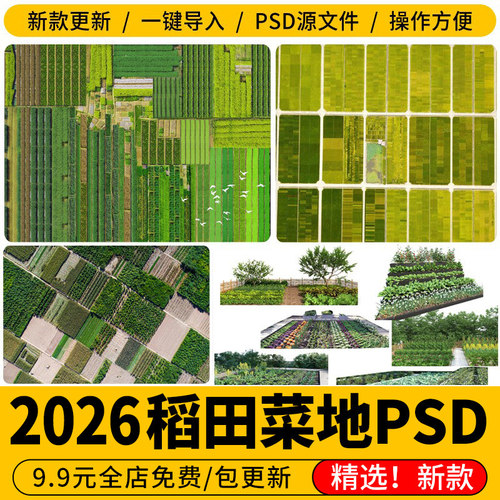 乡村稻田梯田菜地贴图ps素材psd免扣田园景观农田平面鸟瞰效果图