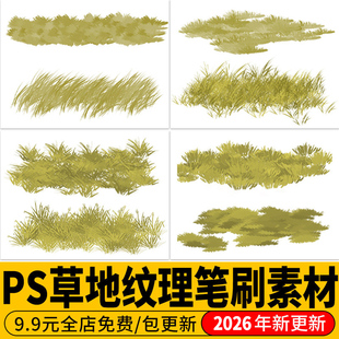 PS笔刷草坪特效宫崎骏手绘树叶草叶子草地植物森林纹理procreate