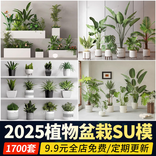 绿植植物花盆盆栽盆景松树单体草图大师SU模型室内花卉花草素材库
