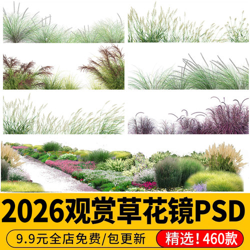 观赏草园林景观花境植物粉黛乱子草鼠尾草花镜ps素材psd免抠素材
