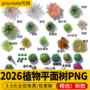 ps园林景观植物彩平图乔木平面图树木图例PNG素材带名称procreate