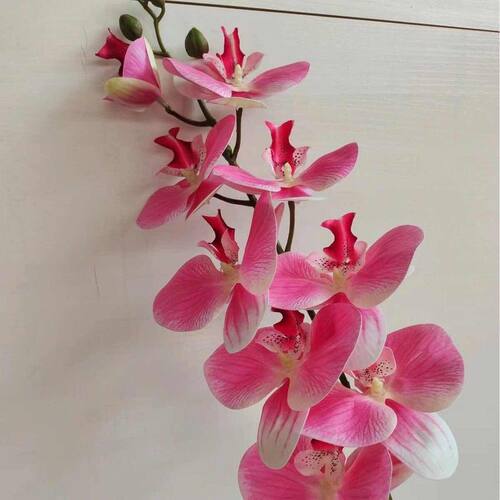 精选厂家直销 3D打印9头蝴蝶兰仿真花过胶手感兰花婚庆插花婚礼装