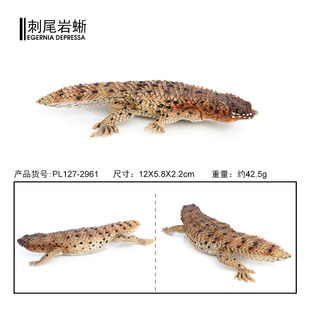 新品 仿真爬行动物蜥蜴模型伞蜥鬃狮蜥变色龙守宫角蜥儿童认知玩