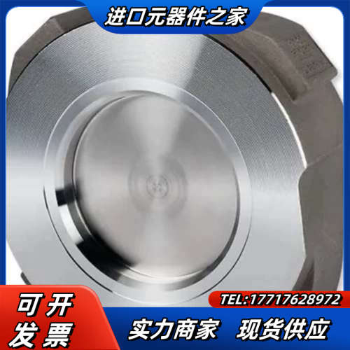 GESTRA RK86 DN50双法兰止回阀/#A C12Q议价