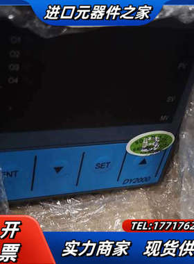 东辉仪表DY2000议价