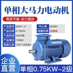 3KW异步电动机 大马力单相电机220V小型家用两相0.75 1.1 1.5 2.2