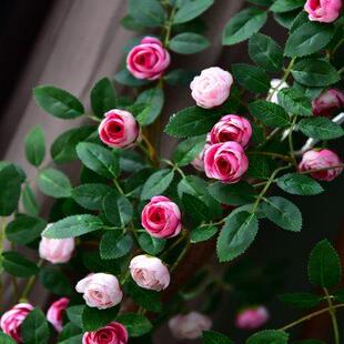 饰花藤条遮挡塑料藤蔓植物摆设吊顶墙面 仿真玫瑰花假花空调管道装