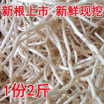 三峡特产 现挖鱼腥草 新鲜野生侧耳根折耳根凉拌 鱼腥草茶一份2斤