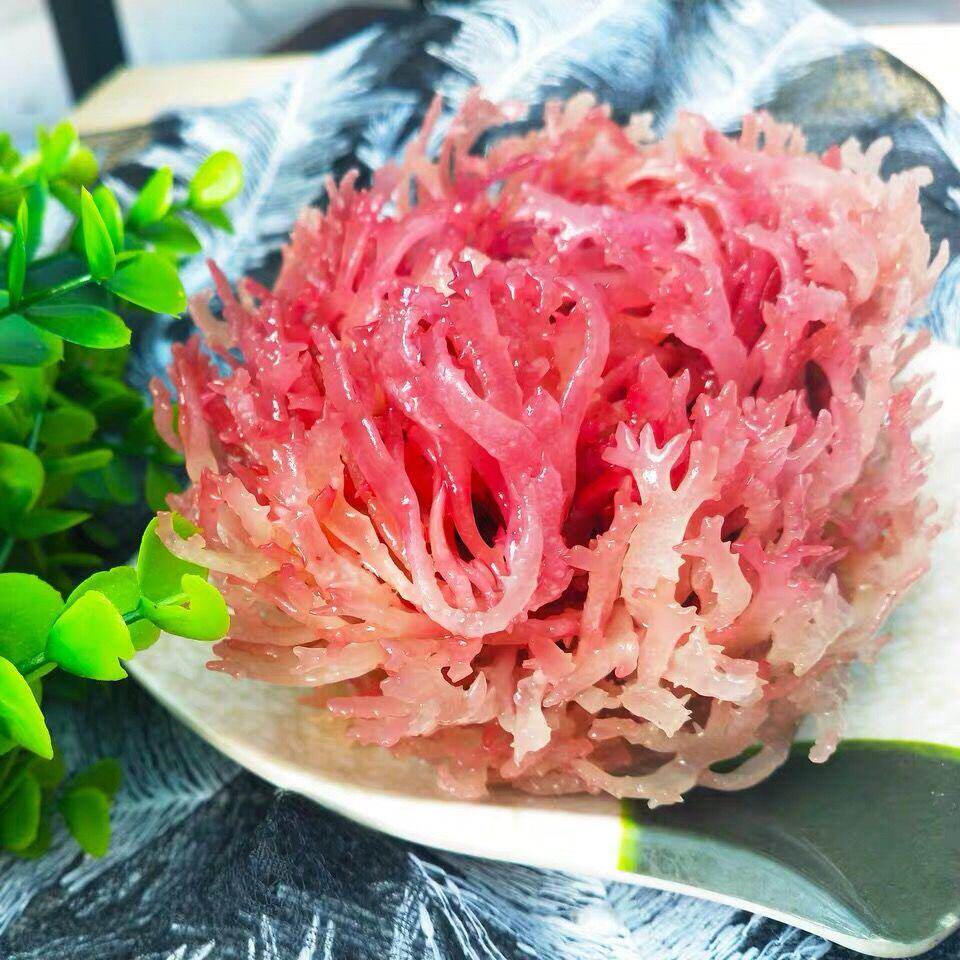 新晒精品红石花菜海石花鹿角菜凉拌菜红珊瑚海鲜干货海产菜海发菜