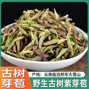 紫芽苞白茶2025年头春野生古树茶晒青绿茶临沧邦东大雪山普洱生茶