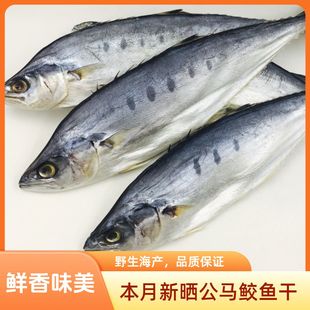 广西马鲛鱼干500g风干日晒咸鱼干淡干海鱼干鲅鱼干特色梅香大鱼干