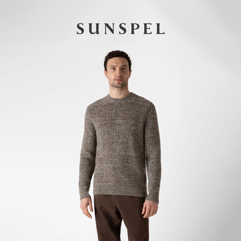 SUNSPEL男士羊毛圆领毛衣秋冬