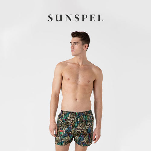 SUNSPEL男士平角内裤印花秋冬