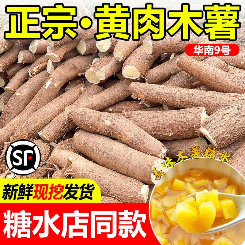 正宗黄心木薯华南9号顺丰包邮