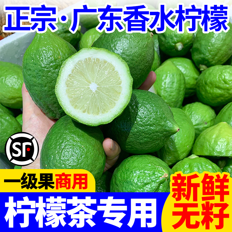 广东香水柠檬新鲜无籽一级果青柠檬奶茶咖啡店商用现摘香柠檬顺丰