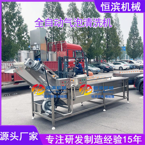 全自动果蔬气泡清洗机蓝莓葡萄清洗设备苹果气泡翻浪自动清洗机