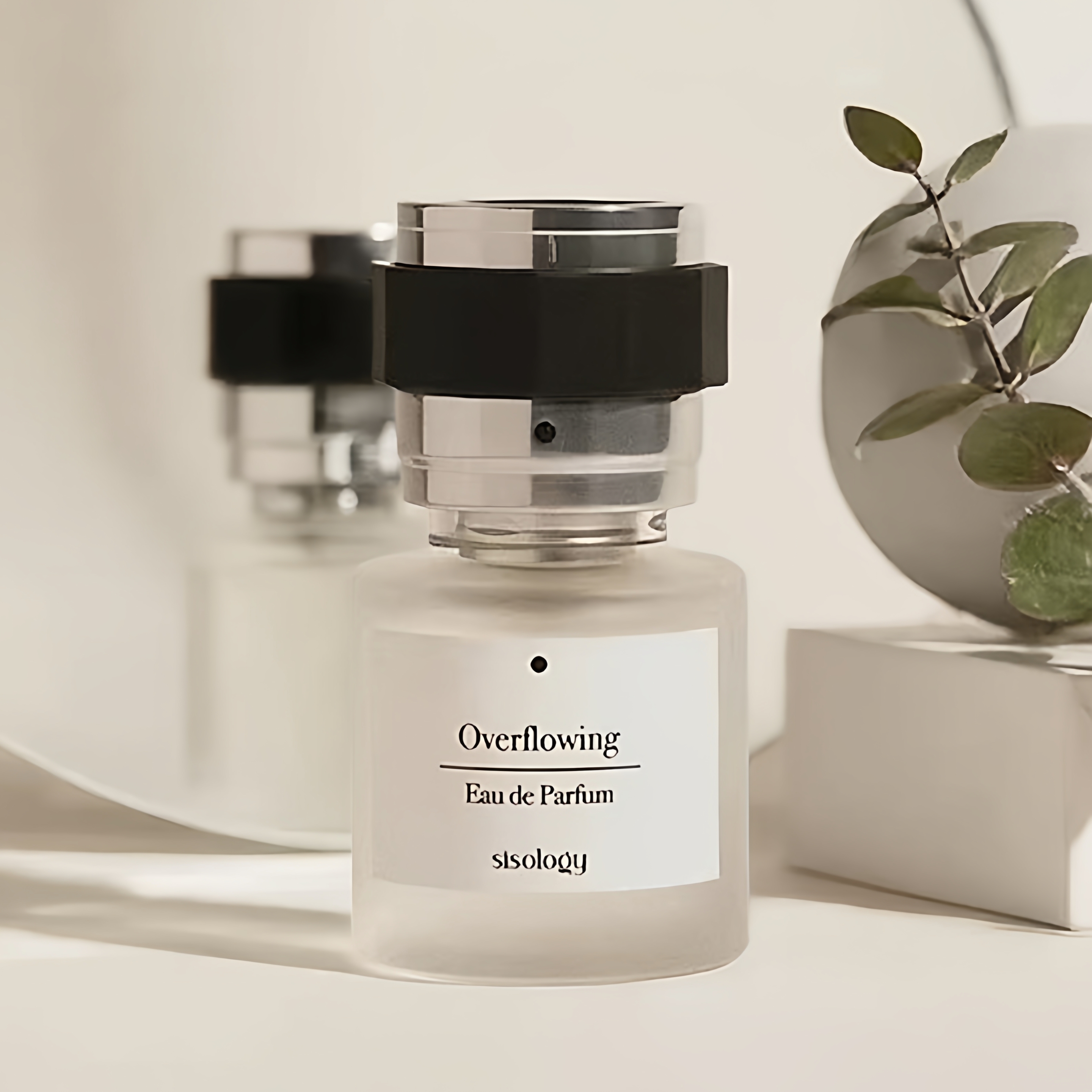 sisology香水overflowing试香