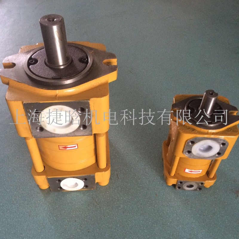 NT PUMP 齿轮泵浦泵 NT5-C160F 直线共轭内啮合油泵