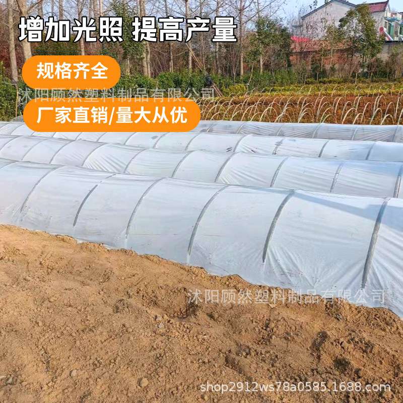 透明小拱棚塑料薄膜育苗防寒保温20斤1.4丝、2丝、4丝