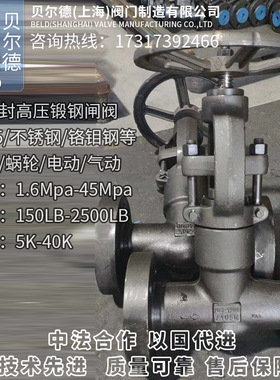 A105锻钢高温高压自密封闸阀/Z41Y-160C/250C-450C/CL2500/1500LB