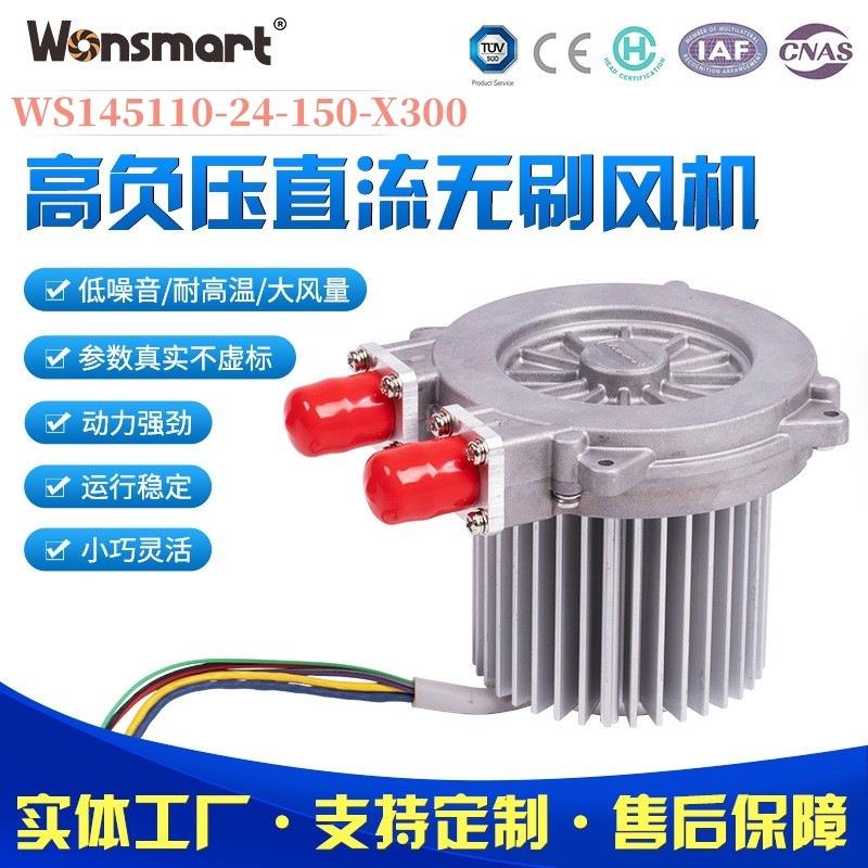 宁波燃料电池扬尘粉尘检测设备环境监测高负压直流无刷风机便携式